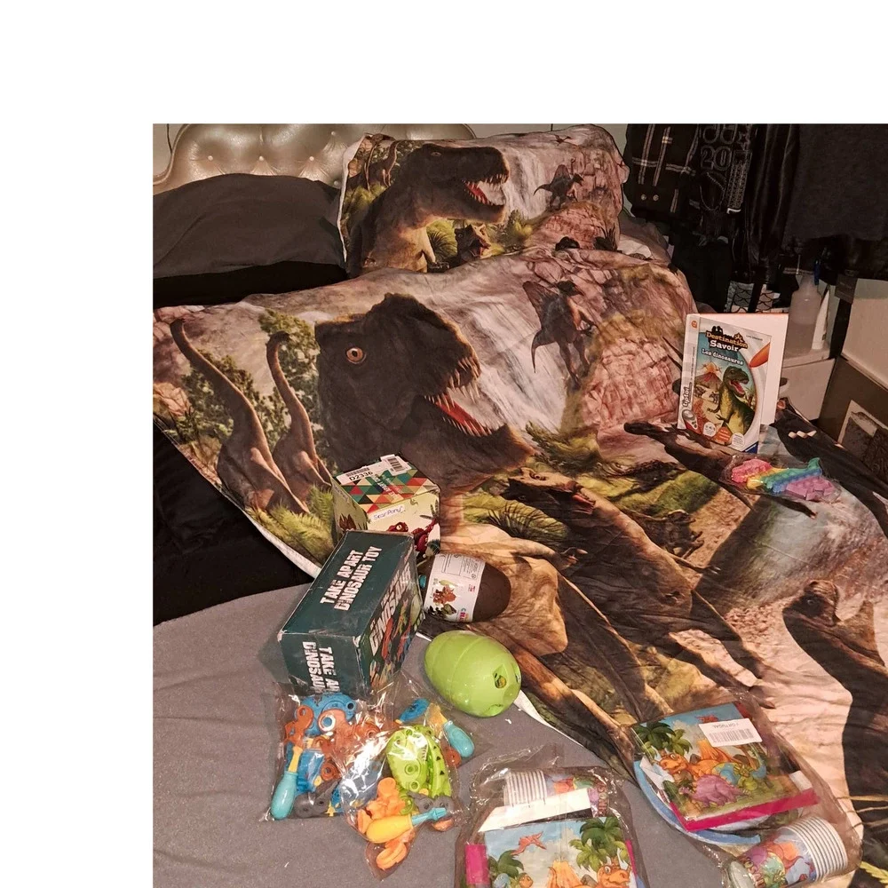Dinosaur Duvet/Pillow/3games/Book and Party Plates